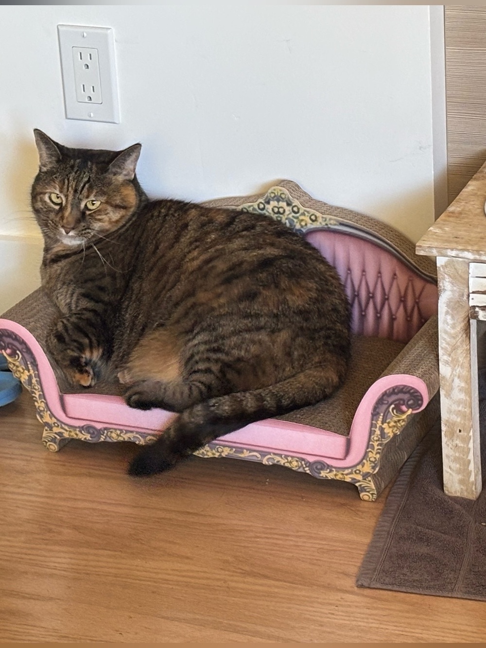 NWT Pink Cardboard Cat Scratcher Princess Sofa w/catnip